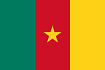 Cameroun webinar DSI