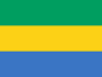 Gabon webinar DSI