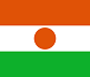 Niger webinar DSI