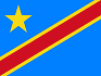 RDC webinar DSI